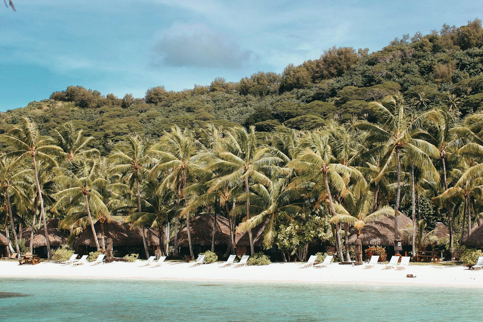 Stunning tropical beach in Vaitāpē, French Polynesia with palm trees and turquoise waters perfect for relaxation.