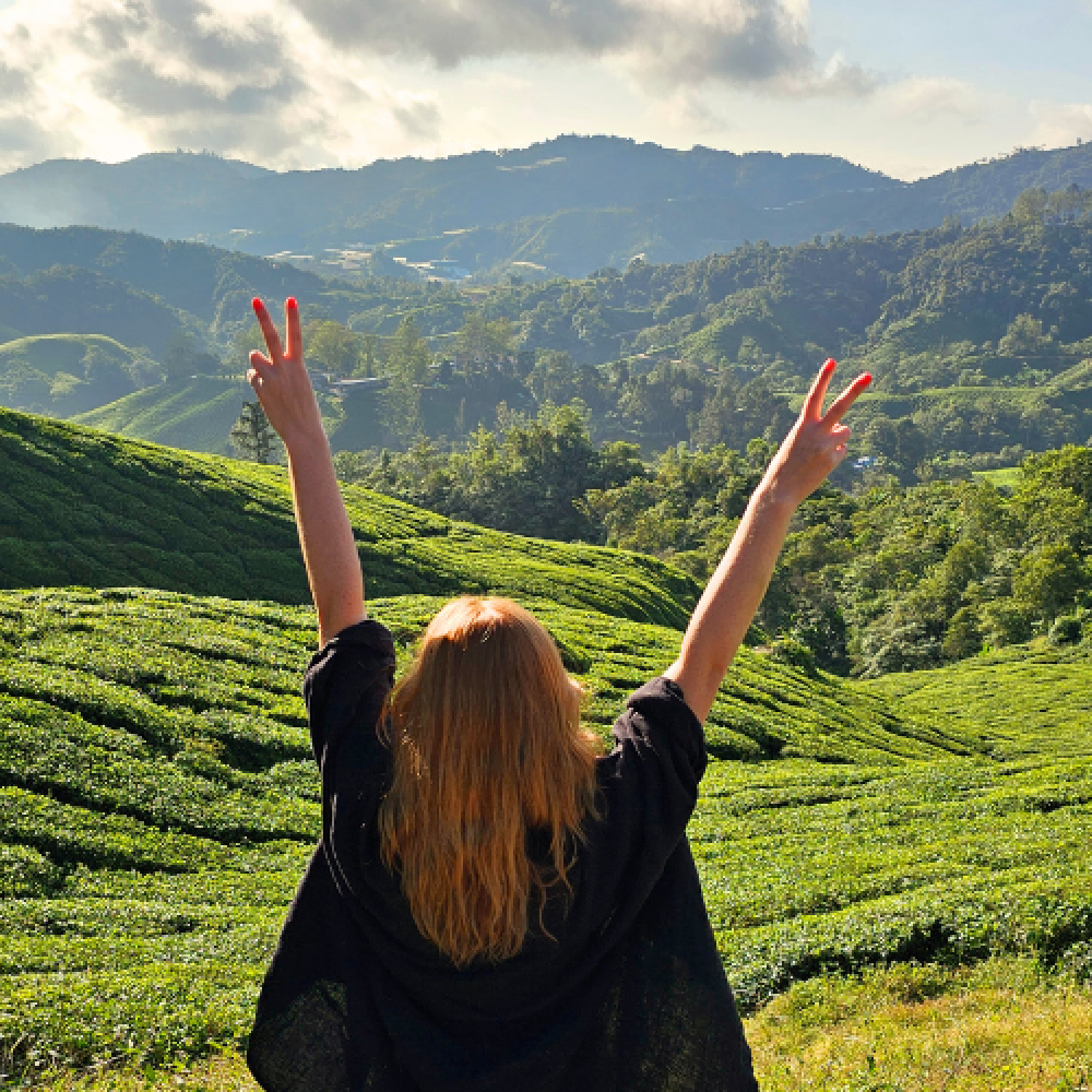 Travolo O Nas karuzela (11)